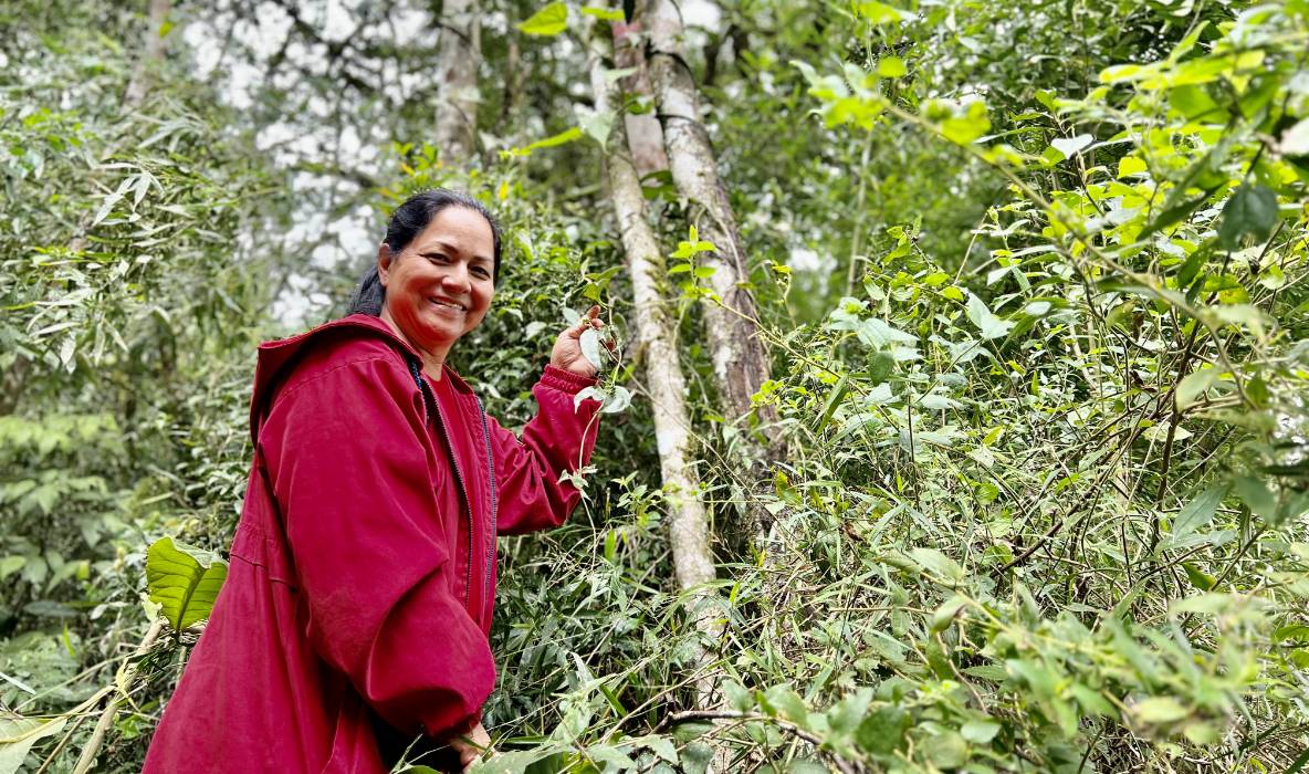 Meio Ambiente, Clima e Agricultura Sustentável
