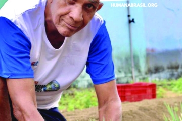 Document: [Relatório Anual 2019]